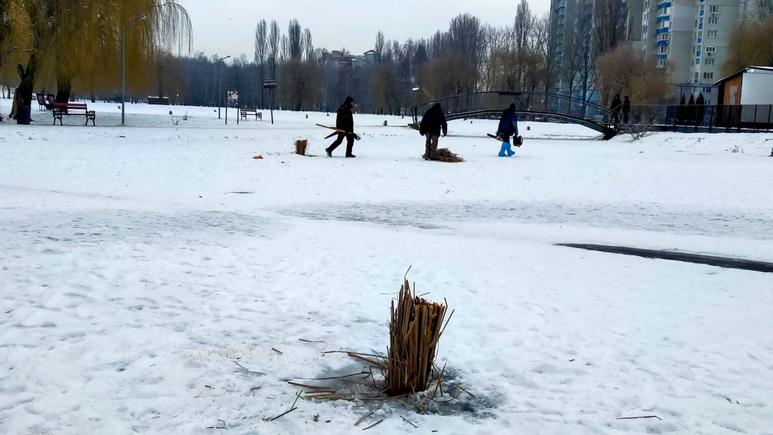 В озері парку «Перемога» комунальники рятували рибу. А у водоймі на Пекарні?