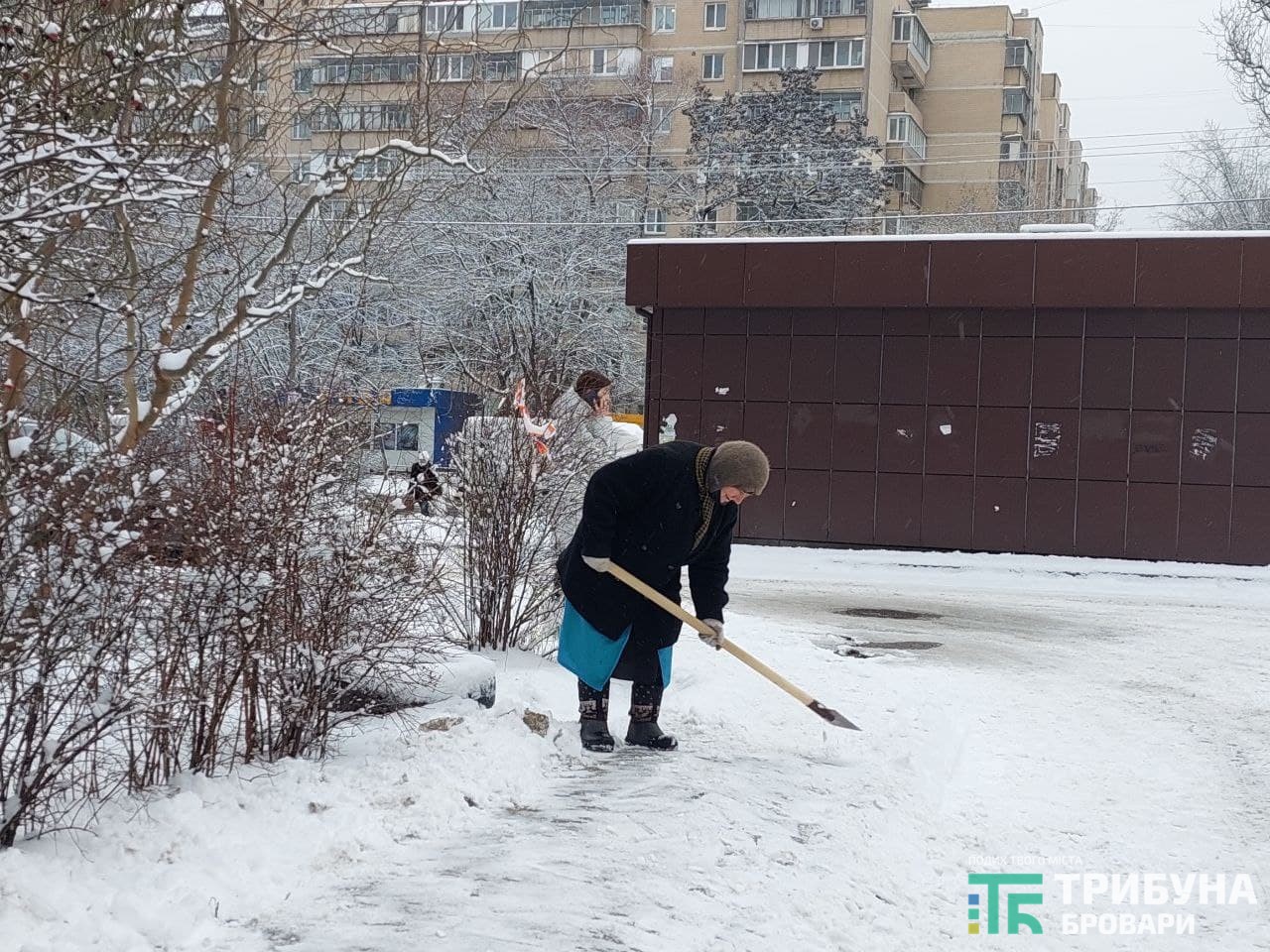 На прибудинковій території на бульв. Незалежності