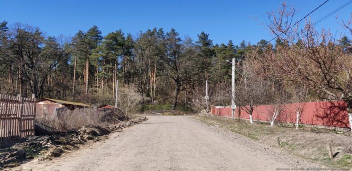 Населенню заборонено ходити і в’їжджати в ліси Броварського району – Павло Проскочило Броварський ліс