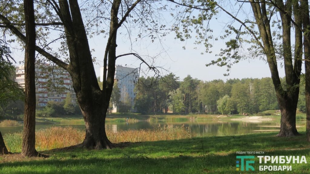 У Броварах біля озера в парку Приозерний зникла жінка. Працюють водолази