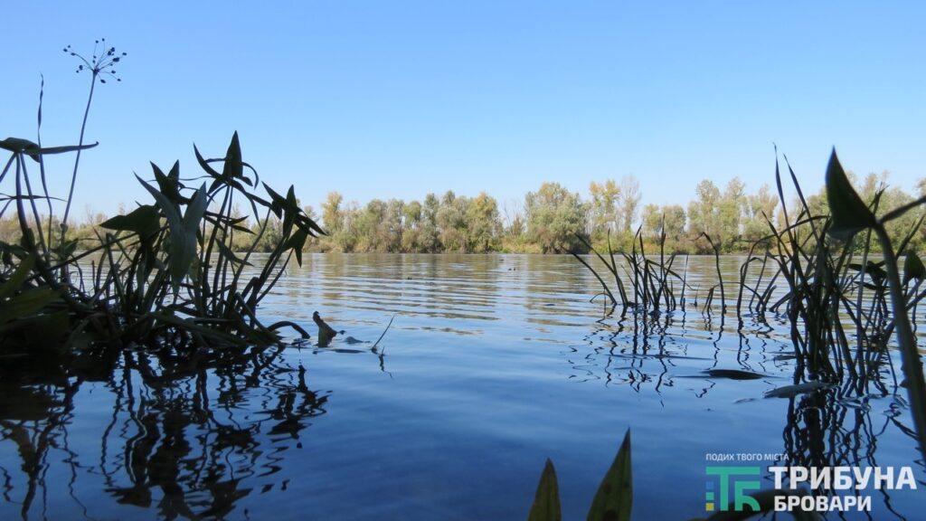 Біля Зазим’я в Десні втопився киянин. Тривають пошуки тіла
