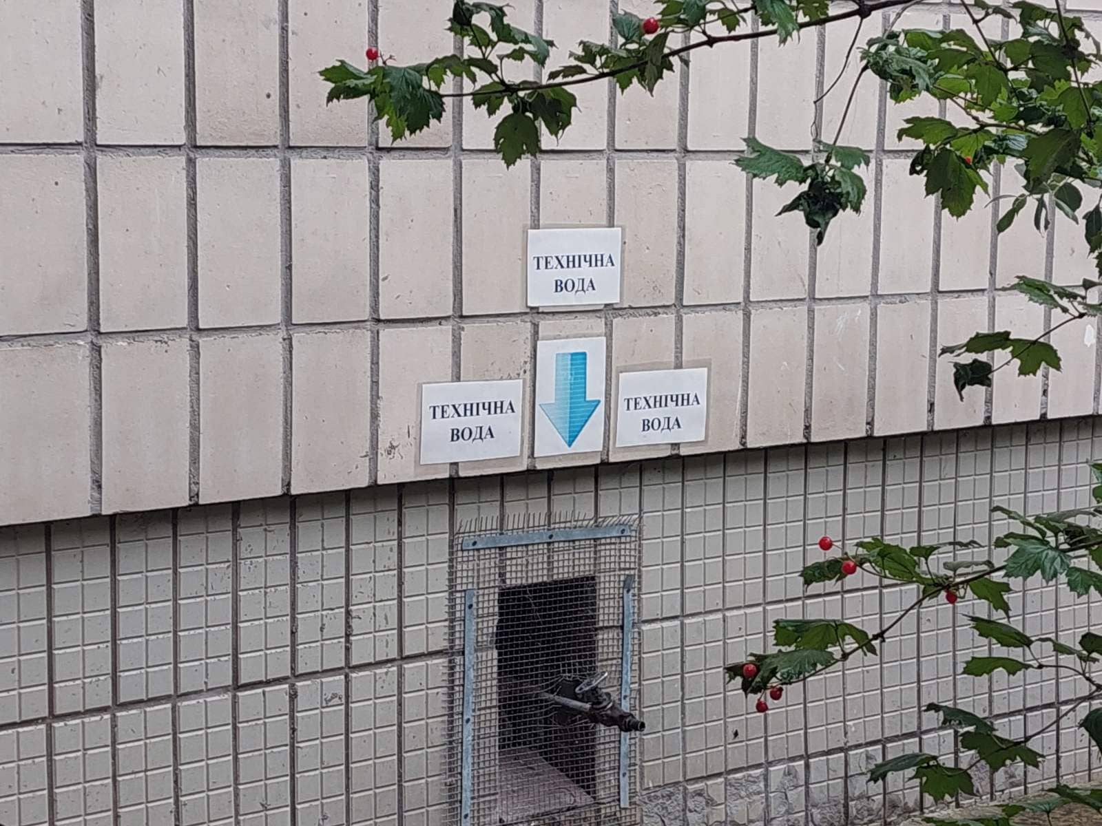 ЗДО "Капітошка"