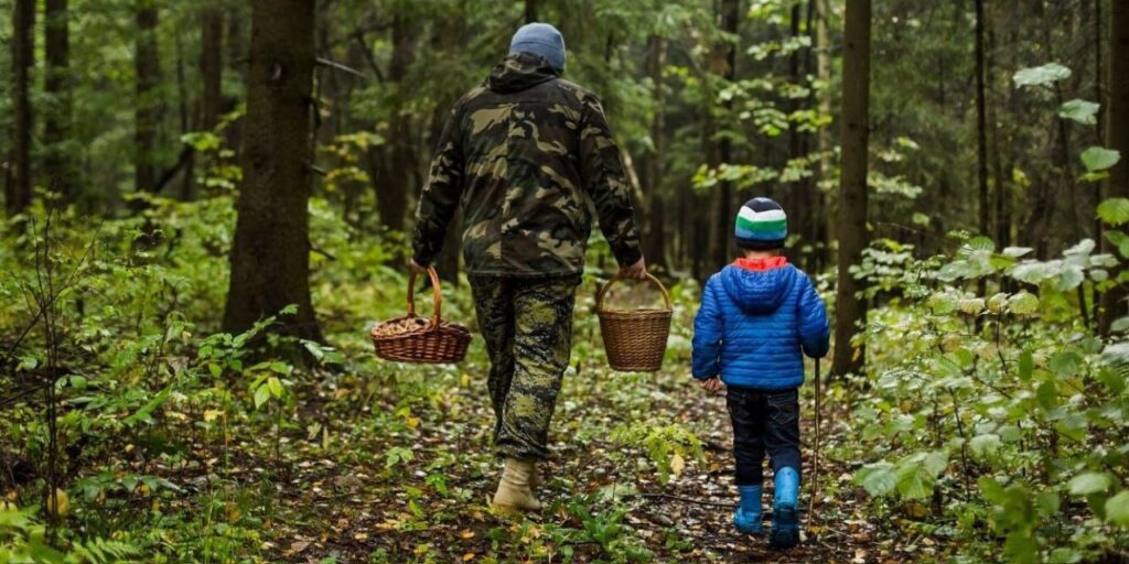 Гриби – отрута для дітей. А ліс/ лісосмуги цього року – ще й смертельна небезпека