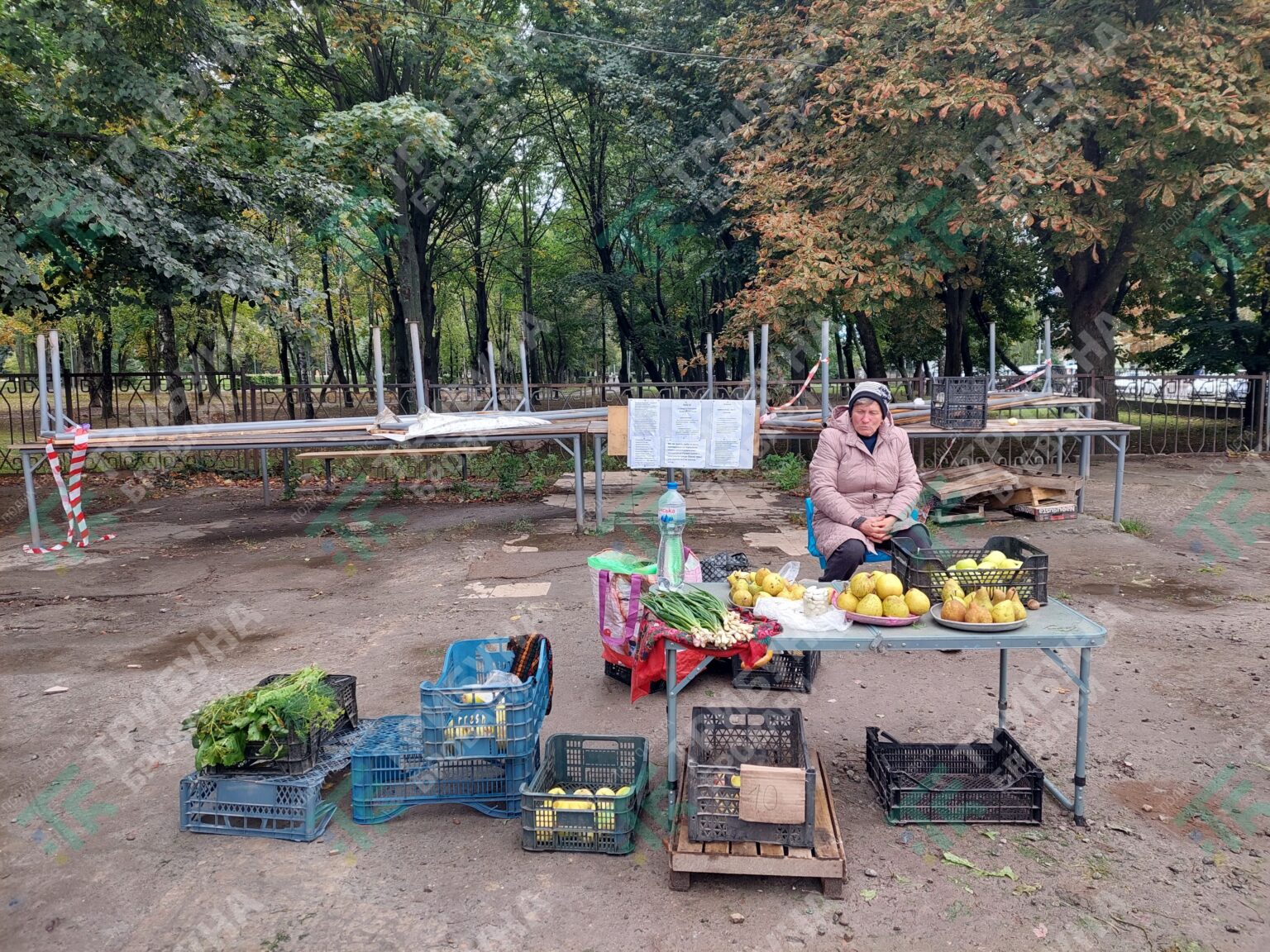 ринок "Господар"