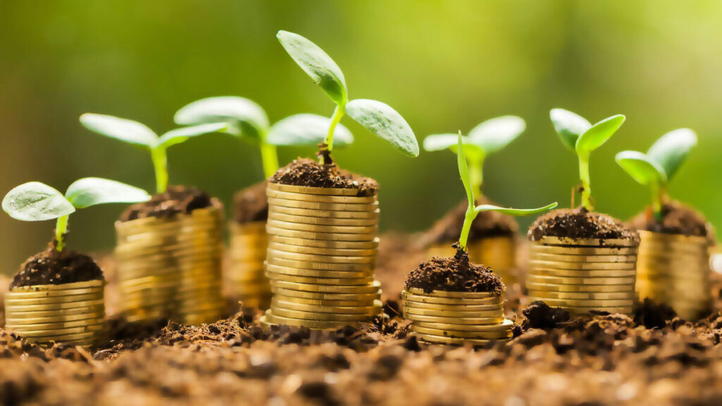 Як отримати грант на свій бізнес: підприємців Київщини запрошують на онлайн-презентацію