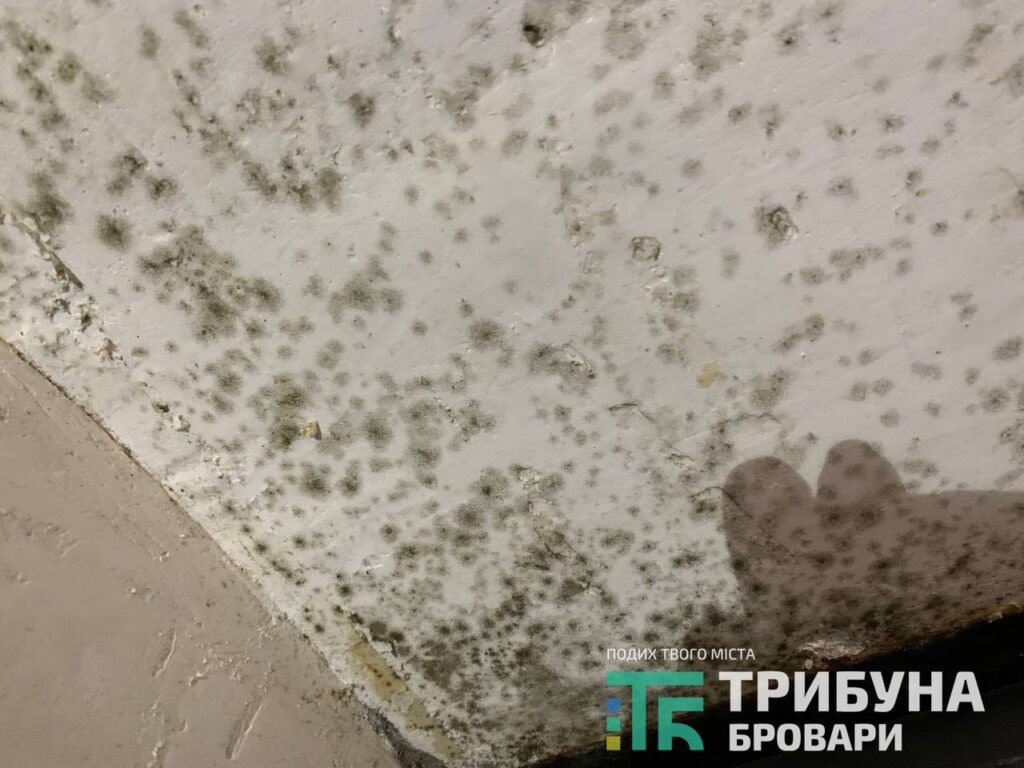 будинок на Незалежності, 14-Г
