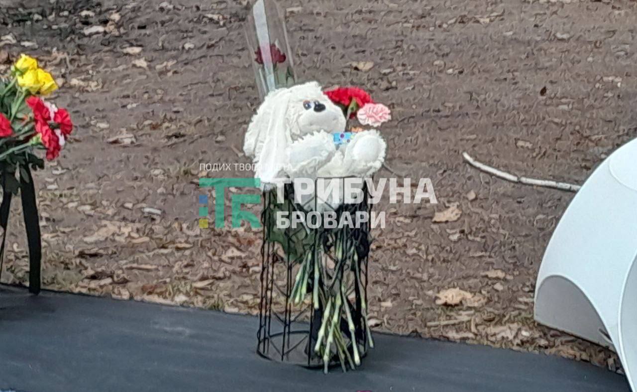 Олена та Мілана Пономаренки