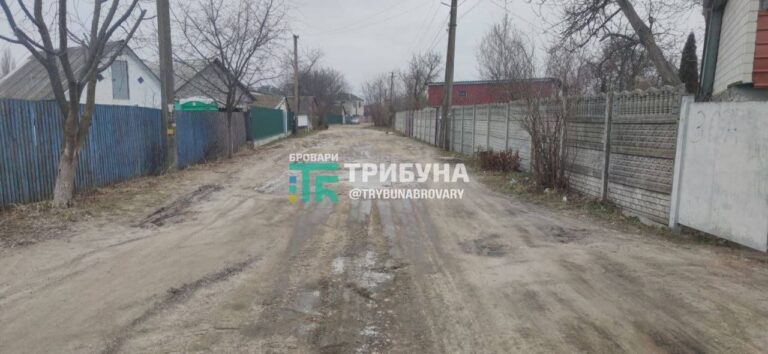 Вулицю Небесної Сотні в Требухові планують капітально відремонтувати. Колись Требухів, вулиця Небесної Сотні