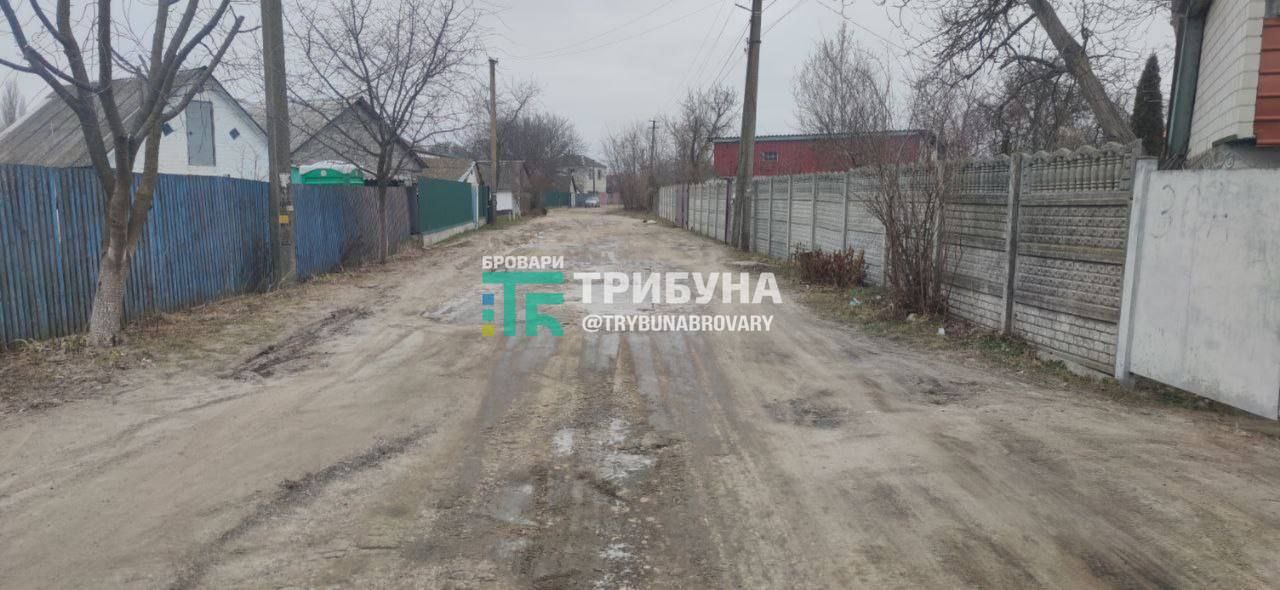 Требухів, вулиця Небесної Сотні