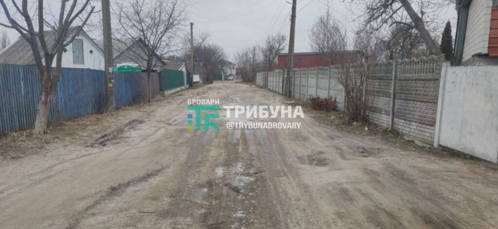 Требухів, вулиця Небесної Сотні