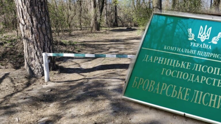 «Броварський ліс»: під Києвом планують створити ландшафтний заказник