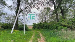 Вул Княжицька Требухів