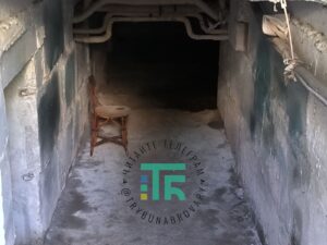 Петлюри
