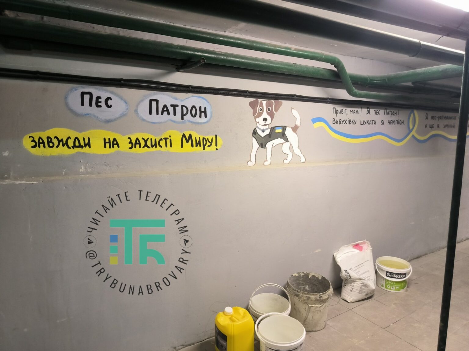 Укриття Требухів ліцей