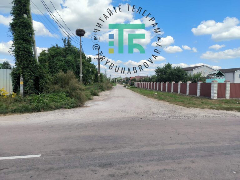 вул. Будівельників Требухів