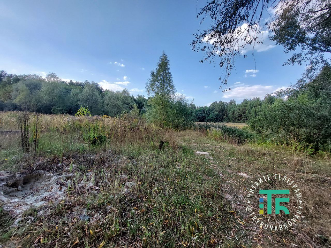 СТ "Заліське"