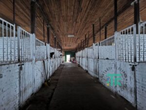 Притулок Підлісся