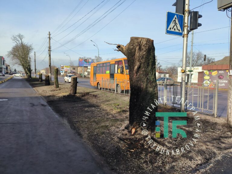Каштани