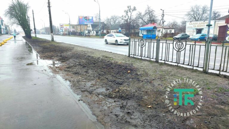 знищення алеї каштанів на Київській
