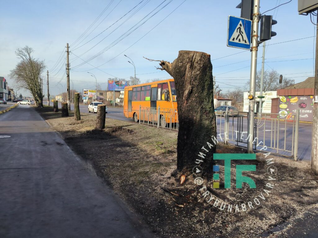 Каштани