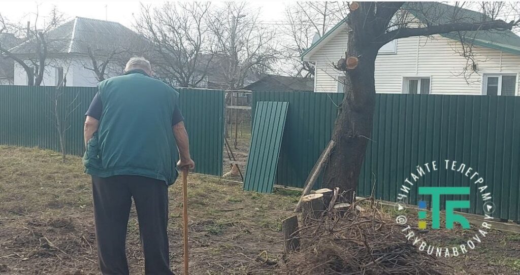 спалювання сміття