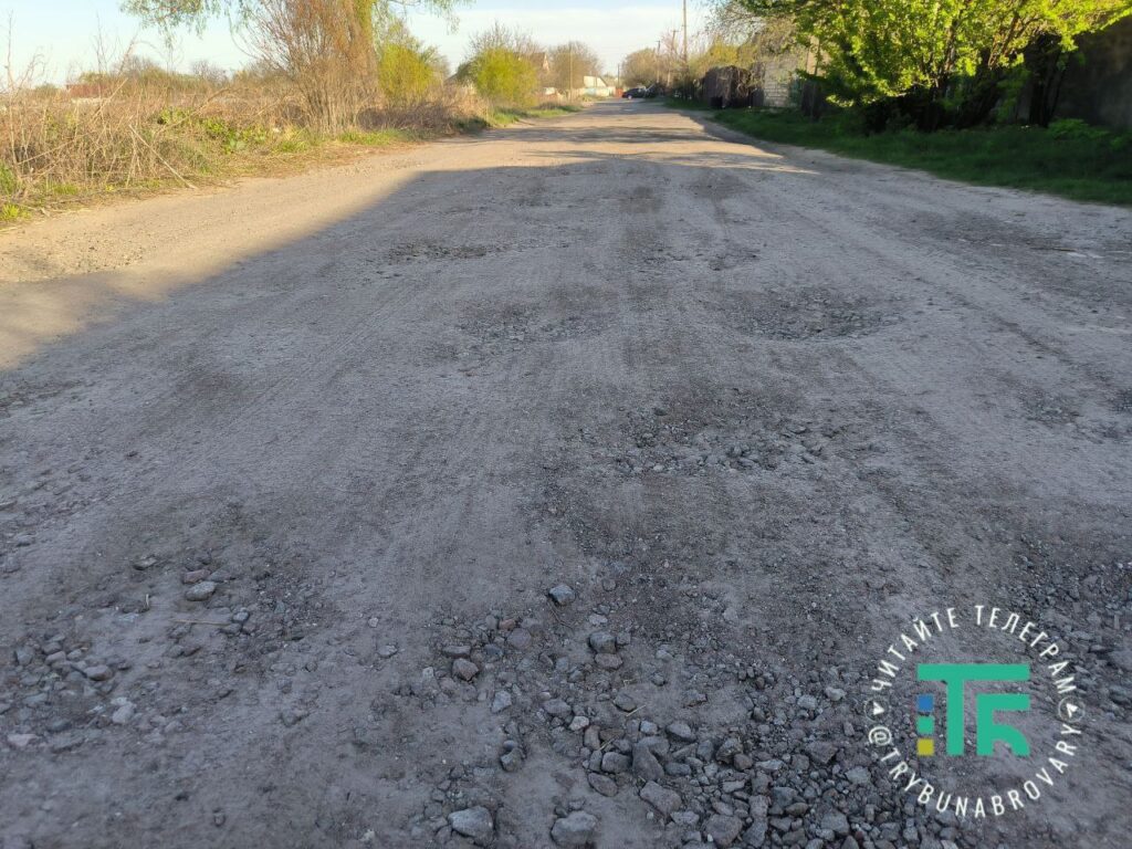 село Требухів, вул. Липнева