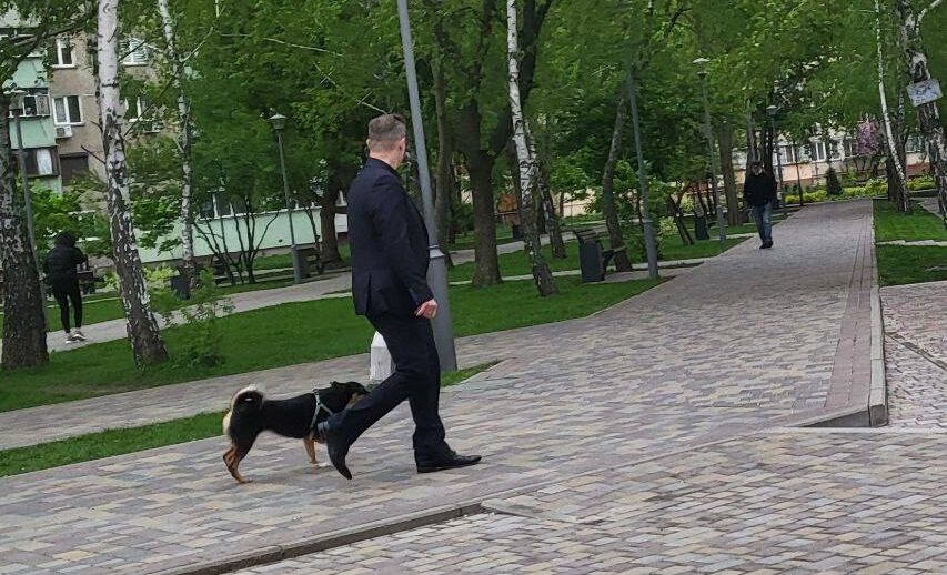 нападає на вулиці на домашніх тварин