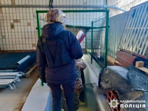 мінування ліцеїв