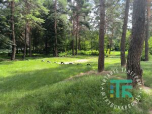 ЖК Купава