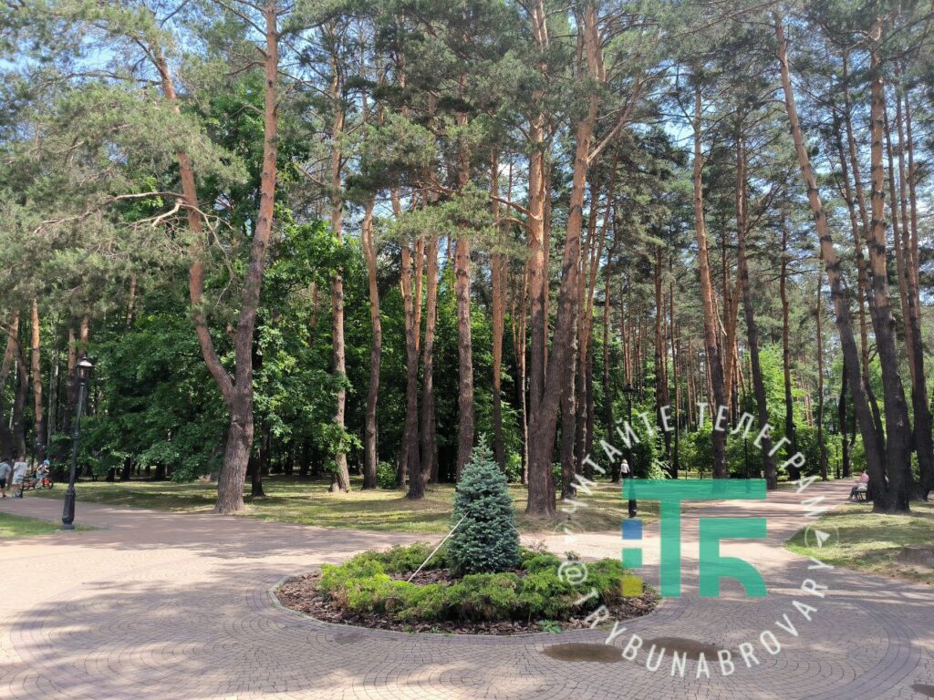 Парк Сосновий