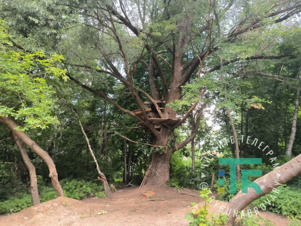 Рекреаційна зона