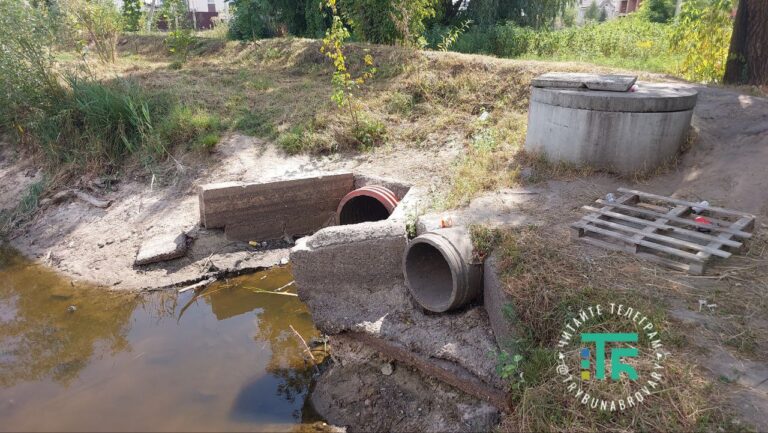 У Броварах зріжуть 21 дерево задля розчищення двох озер на вул. Ольги Кобилянської