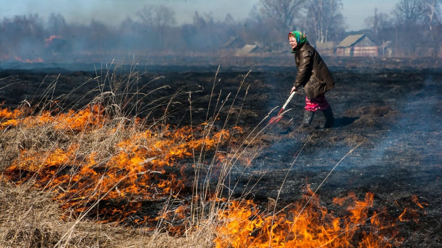 Спалювання сухостою: українців попередили про сувору відповідальність