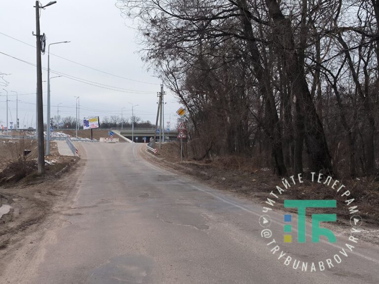 Вул. Вокзальна, шляхопровід