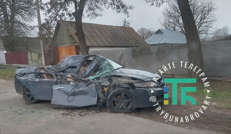 Загиблі в Шевченковому