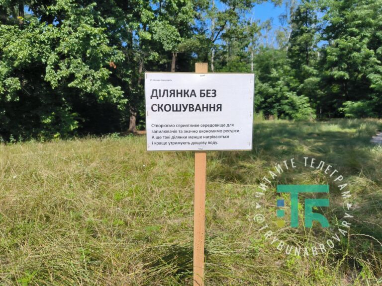 У Броварах з’явились експериментальні галявини, на яких не скошують траву трава Приозерний