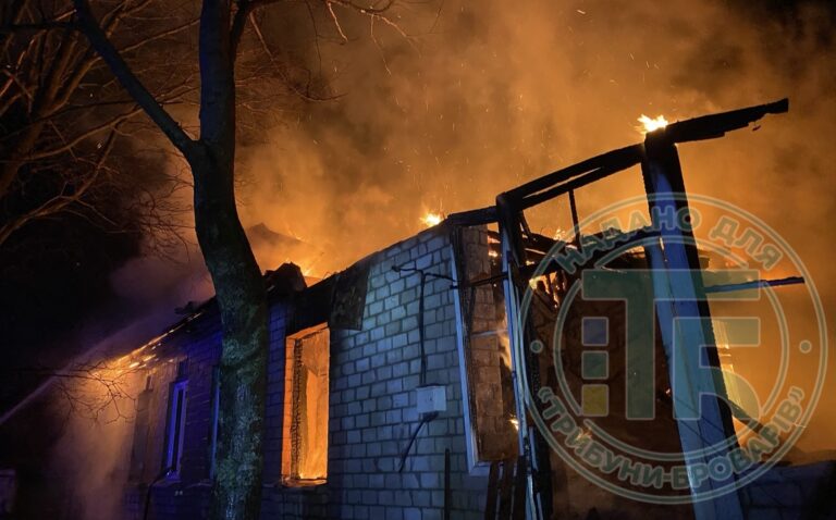 У селах Літки і Гоголів під час пожежі загинули люди