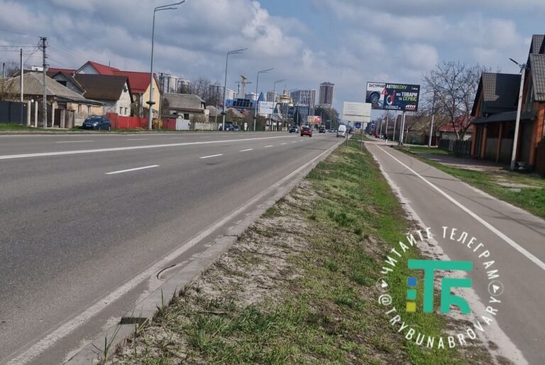 Обіцяночка-цяцяночка: замість зрізаних тополь на Київській у Броварах – клени. Ви їх не бачите? вулиця Київська