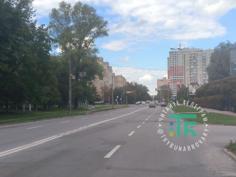 Бровари: історія вулиці Симона Петлюри