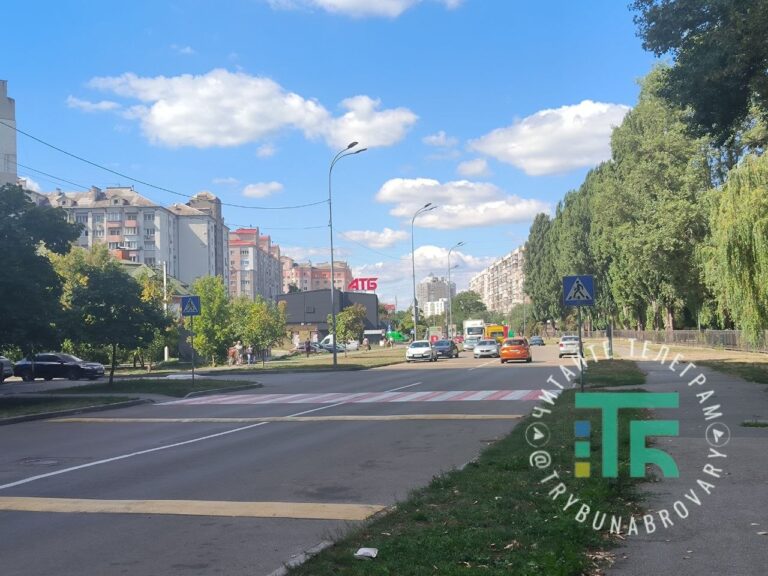 Бровари: історія вулиці Михайла Грушевського